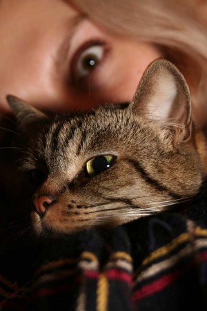 �������� ������ :)