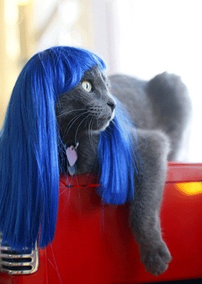 ��������� ���������! :)