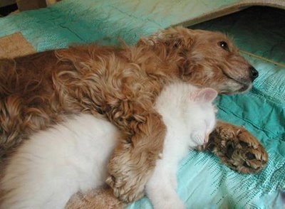 ������ ������ :)