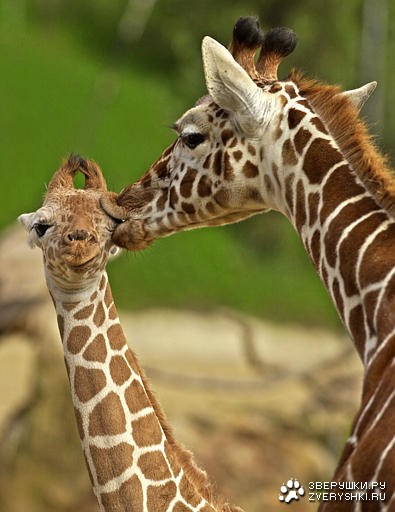 ������� ����������! :)