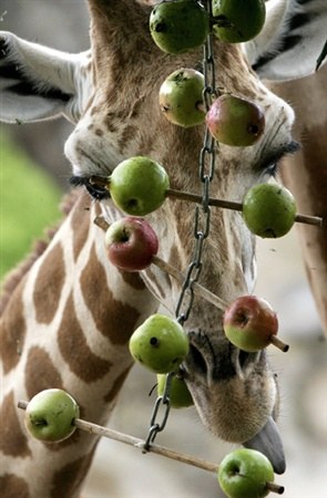 ��������� ��� �������� ��� �������� :) (6 ����������)