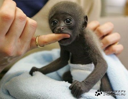 ������� ;)