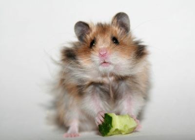 �������������� ������� :)