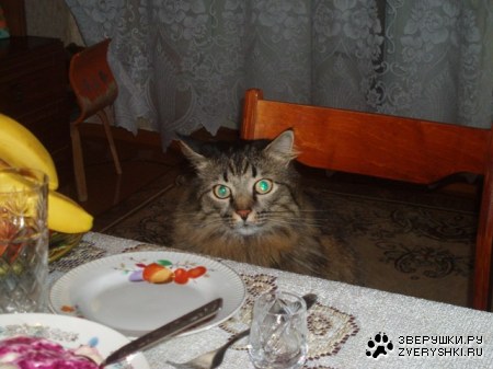 � ���� ������� ������ ������ �� ���?! :)