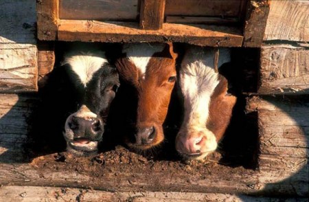 ��� ��������� ��� �����... :)