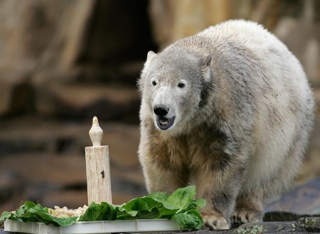 ���� �������� ���������� �����!