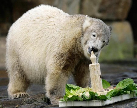 ���� �������� ���������� �����!