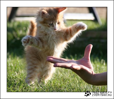 � ���� ������! :)