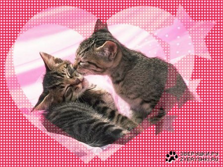 ������... :)