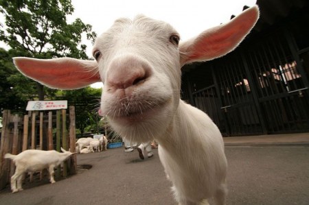 �� ��� �����?! :)