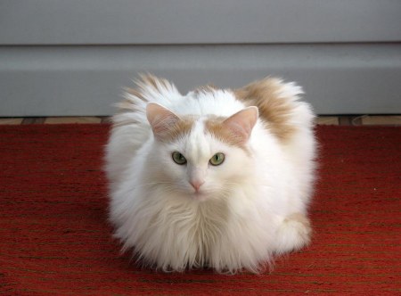 ����������� ������ � ������