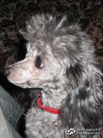 � � � ������� ������! :)