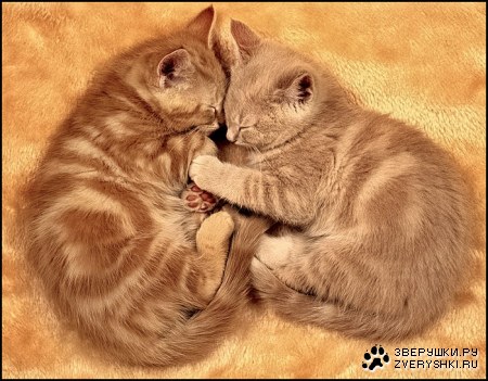 �������� ��� ���! :)