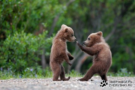 � �� ������� �� ���! :)