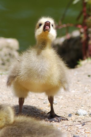 ������������� ����������� :)