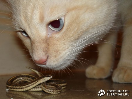 ��� ��� �� ��������� �����?...