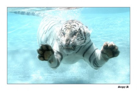 ��������� ������ ;)