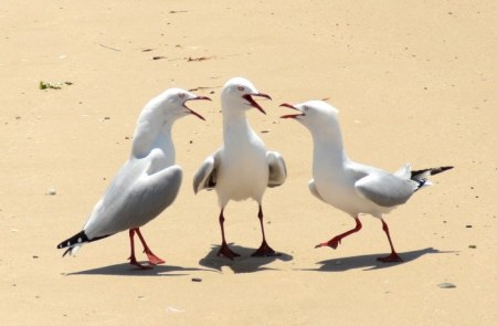 �� ��� ��������, ������� ��������� �������? :)