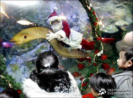 ��������� :)