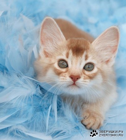 ������� ���� ������� ������! :)