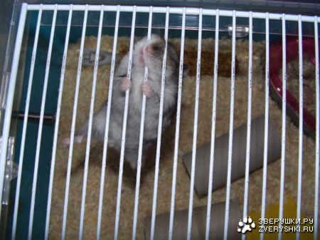 ��������-������!