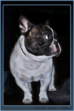 ����������� ��������