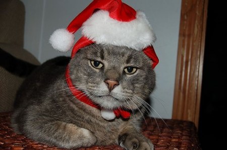 ���������� ������ (7 ����������)