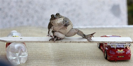 �������-�����������!