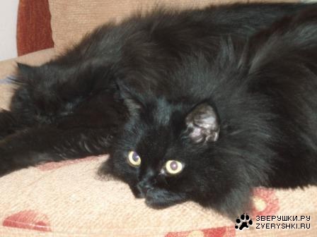 ������� :)