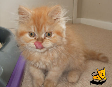 ���������� ��� ������� ������! :)