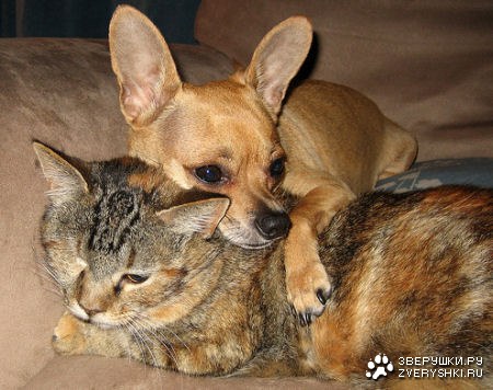 �� ��� ���� :)