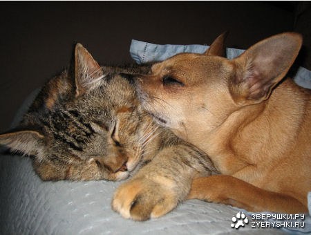 �� ��� ���� :)