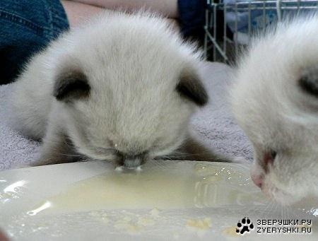 ��������� :)