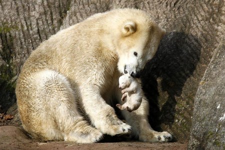 ���� ���� �� ��������������� ��������