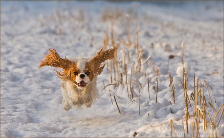 ��� ������ ������� :)