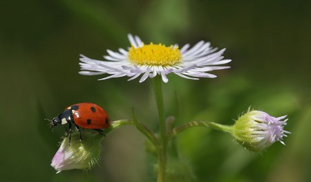 ���������� ��� ���! :)