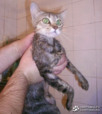 ��� �� �����!