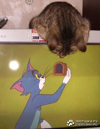 � ��� ��� �� ��� �������? :)