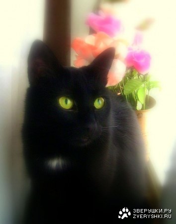 �������-�������...