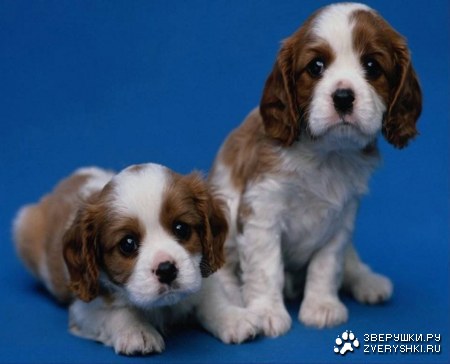 ϸ���� �� ������� ����!