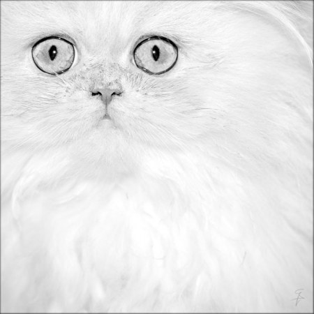 ������� ����������� :)