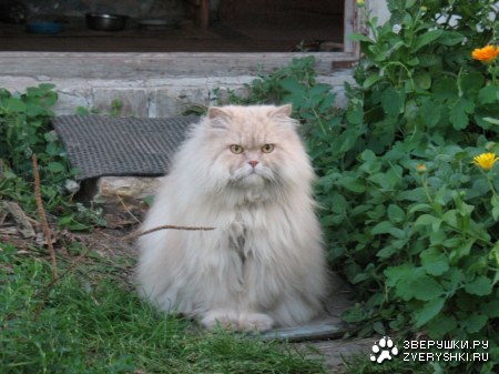 ����� ������ :)