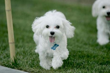 ������� ��������� :)