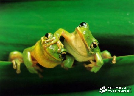 � �� �� �����������! :)