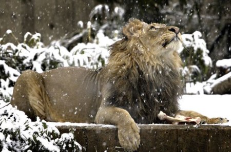 ���� � ������... ;)