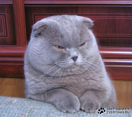 ������� ���!