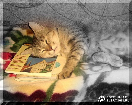 � ������ ����... :)