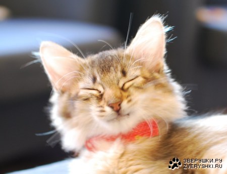 ���������� ��� ���! :)