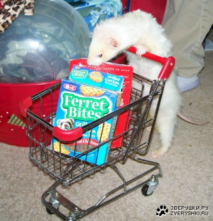 � ��� �� ����� ������ �� ���������? ;)