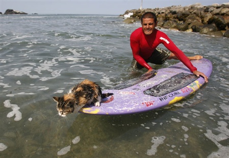 �����-����������